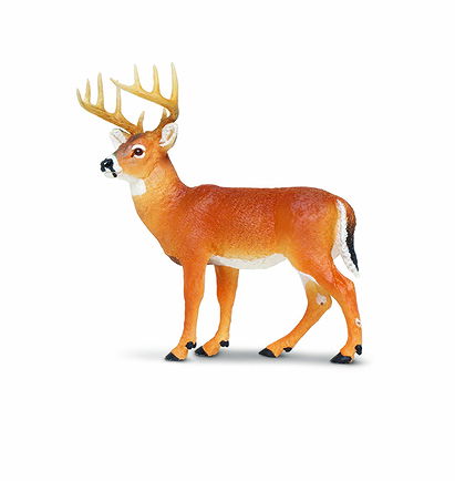 Safari Ltd  Wild Safari North American Wildlife Whitetail Buck