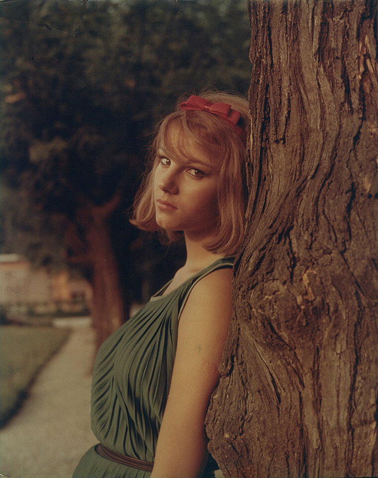 Picture of Stefania Sandrelli