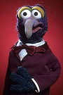 The Great Gonzo