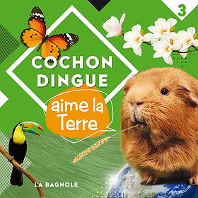 Cochon Dingue aime la Terre