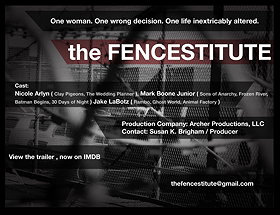 The Fencestitute