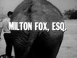 Milton Fox, Esq.