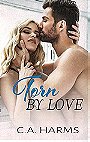 Torn by Love (Scarred by Love #4) 