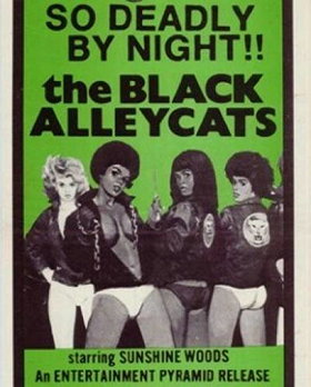 The Black Alley Cats