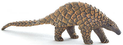 Mojö indian pangolin