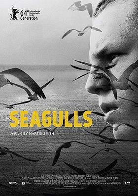 Seagulls