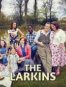 The Larkins