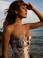 tess homann