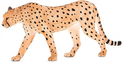 Mojö cheetah male