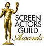 The 23rd Annual Screen Actors Guild Awards                                  (2017)