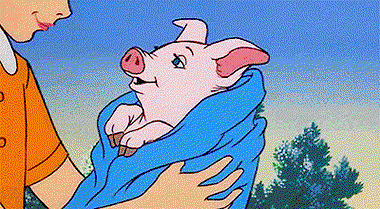 15859020.jpg?width=380&sharpen=true