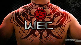 WEC Outside the Cage