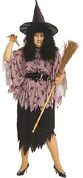 Rubies Full Cut Halloween Woman's Costume Gretchen the Witch