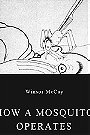 How a Mosquito Operates (1912)