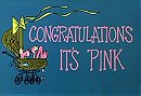 Congratulations It's Pink