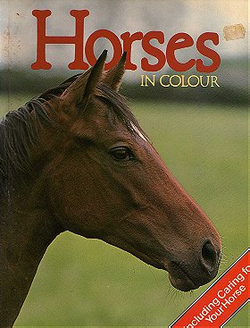 Horses in Color