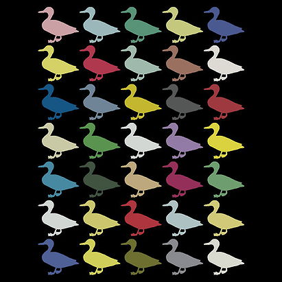 Ducks On Acid