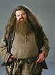 Rubeus Hagrid