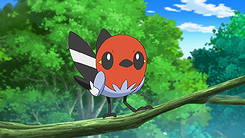 Ash's Talonflame