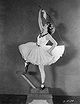Shirley of the Circus