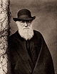 Charles Darwin