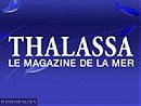 Thalassa, le magazine de la mer