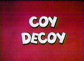 Coy Decoy