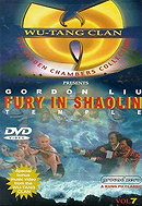 Fury In Shaolin Temple