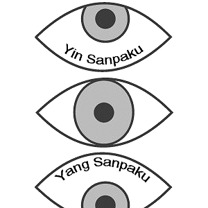 wallpapers What Does Yang Sanpaku Eyes Mean sanpaku eyes list