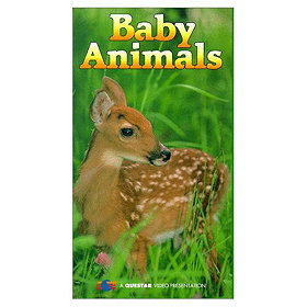The World of Baby Animals Vol. 2