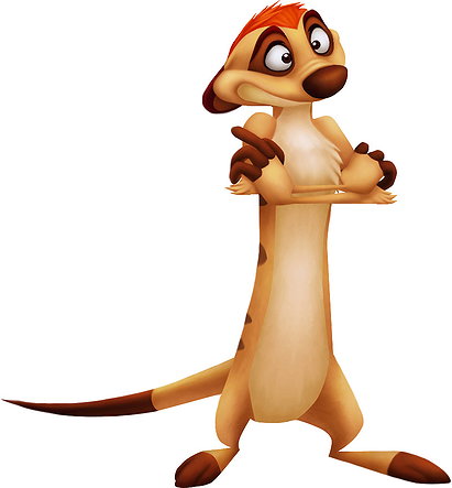 Timon