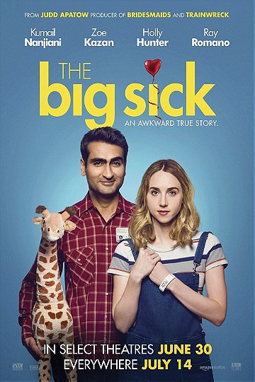 The Big Sick (2017) 