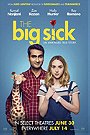 The Big Sick (2017) 