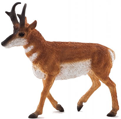 Mojö pronghorn