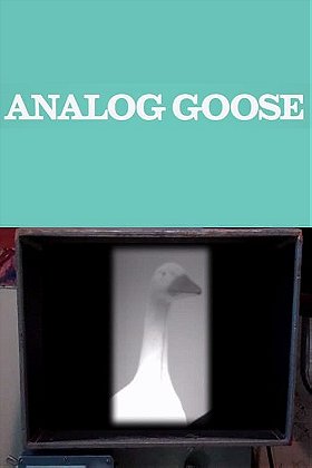 Analog Goose