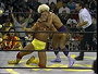 Hulk Hogan vs. Ric Flair (1994/07/17)