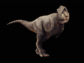 Tyrannosaurus Rex ( T-Rex )