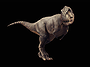 Tyrannosaurus Rex ( T-Rex )