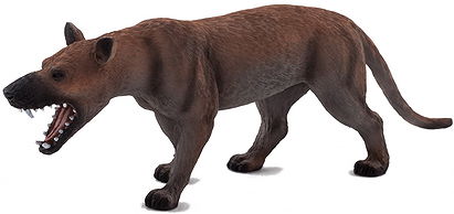 Mojö Hyaenodon