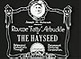The Hayseed
