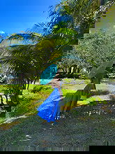 Oriola Marashi pictures and photos