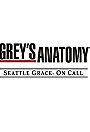 Seattle Grace: On Call