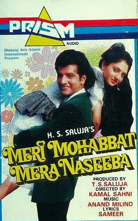 Meri Mohabbat Mera Naseeba