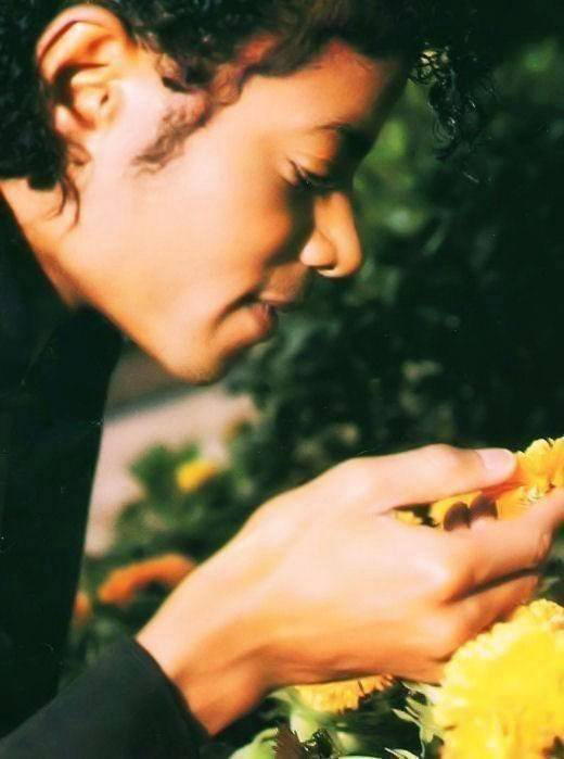 ladymj4ever