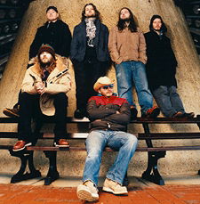 Band of Bees