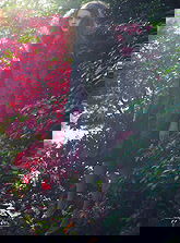 Jenna Roberts pictures and photos