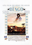 Dingo