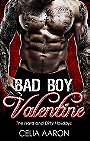 Bad Boy Valentine (The Hard and Dirty Holidays #2)