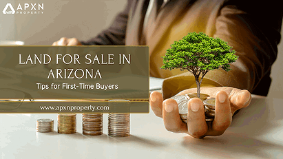 Land for Sale in Arizona: Tips for First-Time Buyers