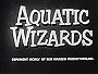 Aquatic Wizards